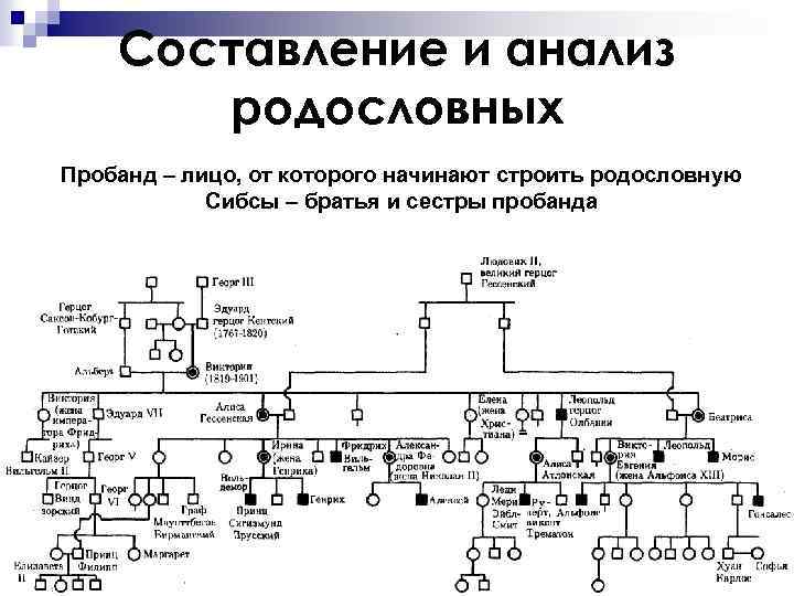 Составление и анализ родословных Пробанд – лицо, от которого начинают строить родословную Сибсы –