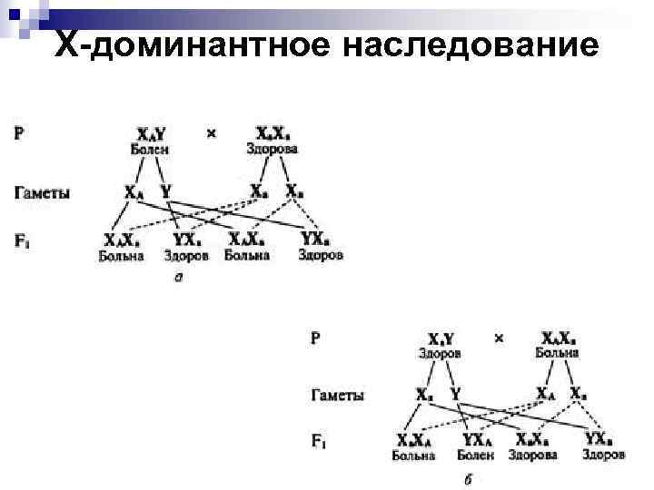 Х-доминантное наследование 