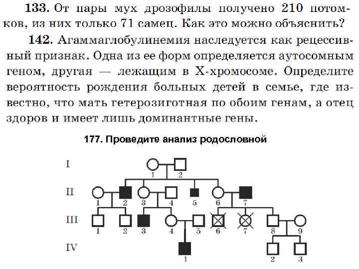 177. Проведите анализ родословной 