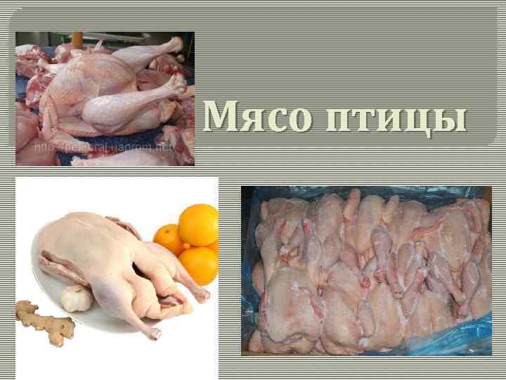 Мясо птицы 