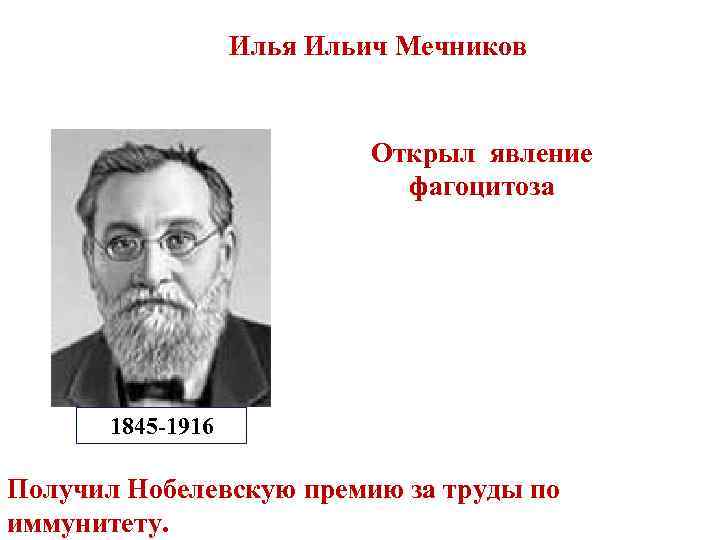 Илья Ильич Мечников Открыл явление фагоцитоза 1845 -1916 Получил Нобелевскую премию за труды по