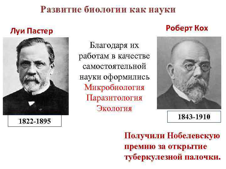 Развитие биологии как науки Роберт Кох Луи Пастер Благодаря их работам в качестве самостоятельной