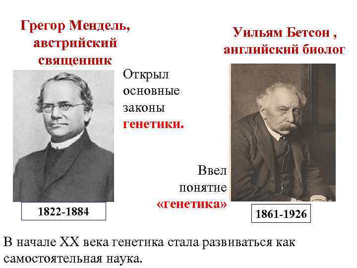 Грегор Мендель, австрийский священник Открыл основные законы генетики. 1822 -1884 Уильям Бетсон , английский