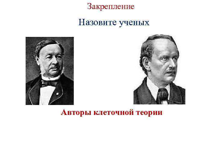 Закрепление Назовите ученых Авторы клеточной теории 