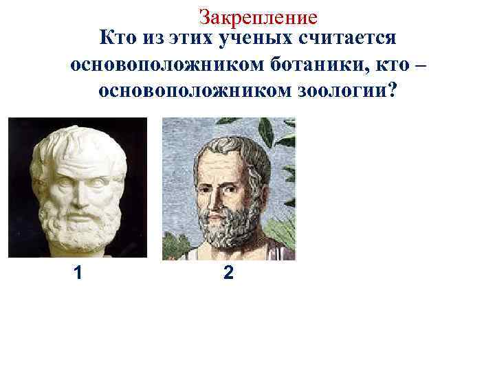 Закрепление Кто из этих ученых считается основоположником ботаники, кто – основоположником зоологии? 1 2