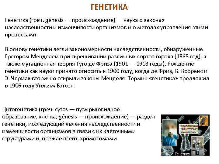 ГЕНЕТИКА Генетика (греч. génesis — происхождение) — наука о законах наследственности и изменчивости организмов