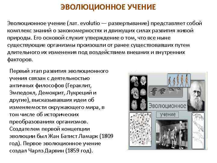 ЭВОЛЮЦИОННОЕ УЧЕНИЕ Эволюционное учение (лат. evolutio — развертывание) представляет собой комплекс знаний о закономерностях