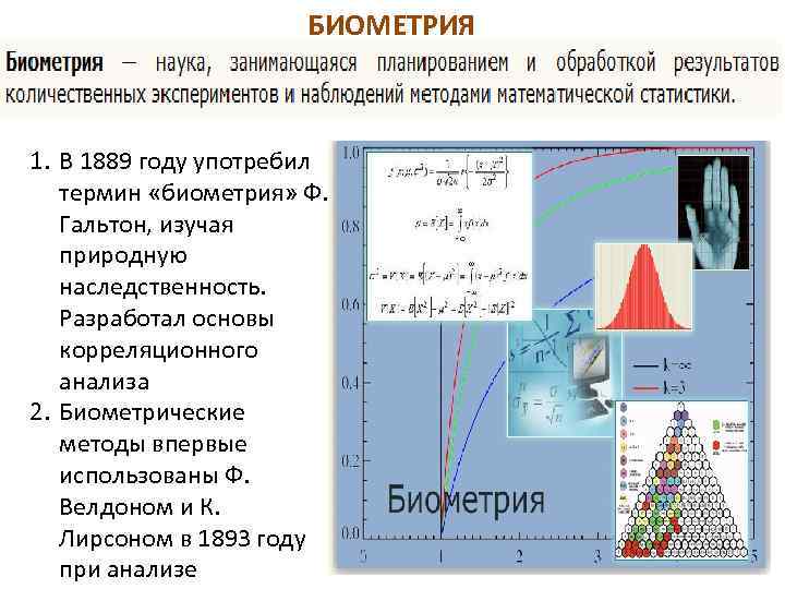 БИОМЕТРИЯ 1. В 1889 году употребил термин «биометрия» Ф. Гальтон, изучая природную наследственность. Разработал