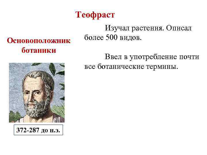 Теофраст Основоположник ботаники 372 -287 до н. э. Изучал растения. Описал более 500 видов.