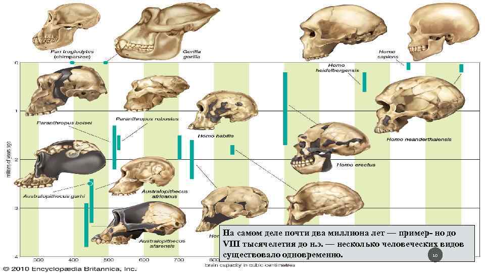 На самом деле почти два миллиона лет — пример но до VIII тысячелетия до