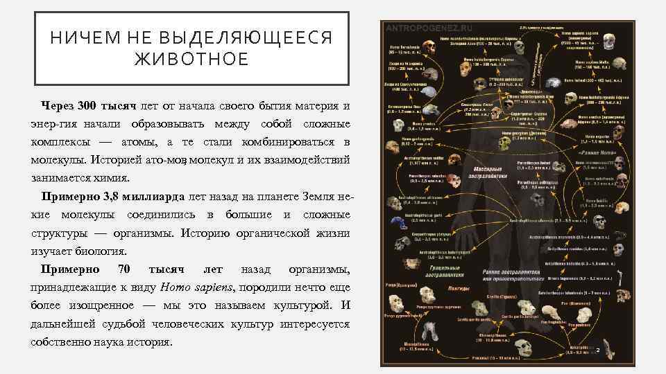 НИЧЕМ НЕ ВЫДЕЛЯЮЩЕЕСЯ ЖИВОТНОЕ Через 300 тысяч лет от начала своего бытия материя и