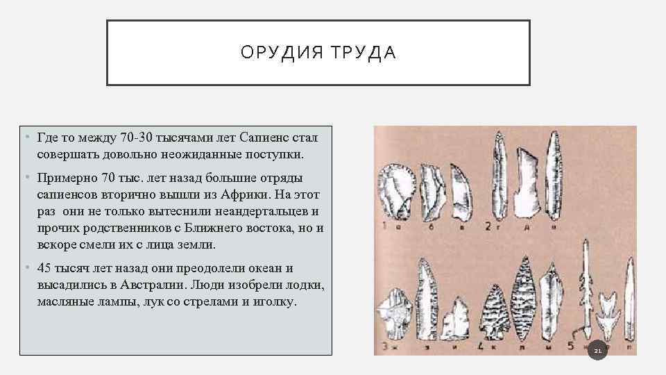 ОРУДИЯ ТРУДА • Где то между 70 30 тысячами лет Сапиенс стал совершать довольно