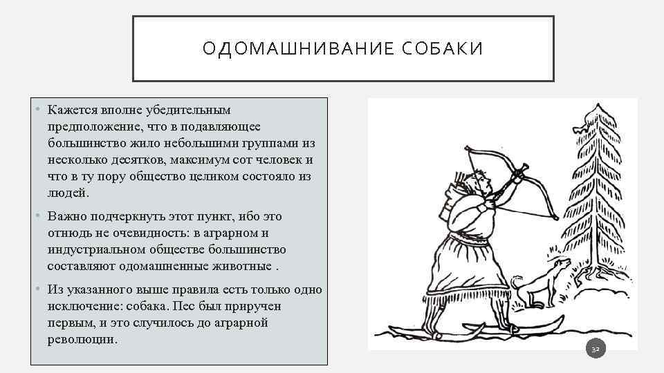 ОДОМАШНИВАНИЕ СОБАКИ • Кажется вполне убедительным предположение, что в подавляющее большинство жило небольшими группами