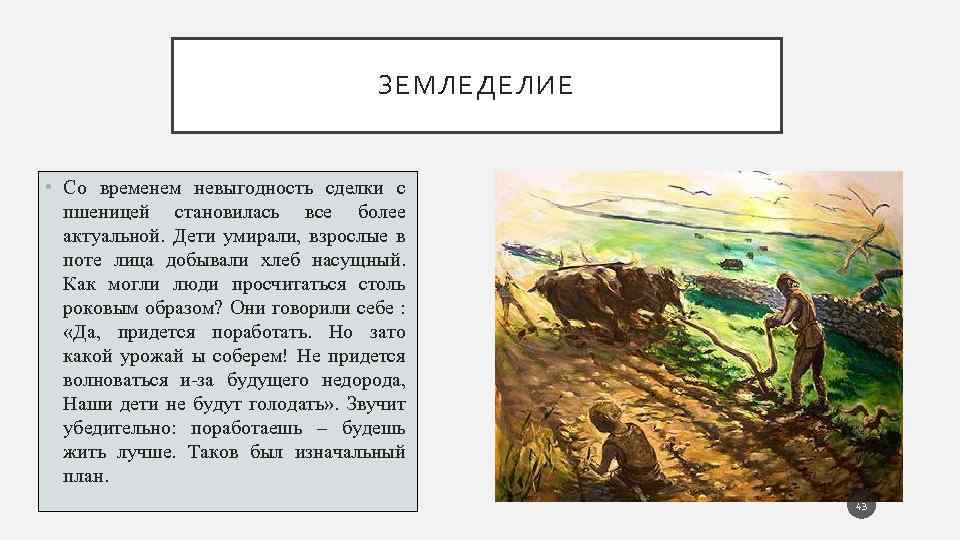 ЗЕМЛЕДЕЛИЕ • Со временем невыгодность сделки с пшеницей становилась все более актуальной. Дети умирали,