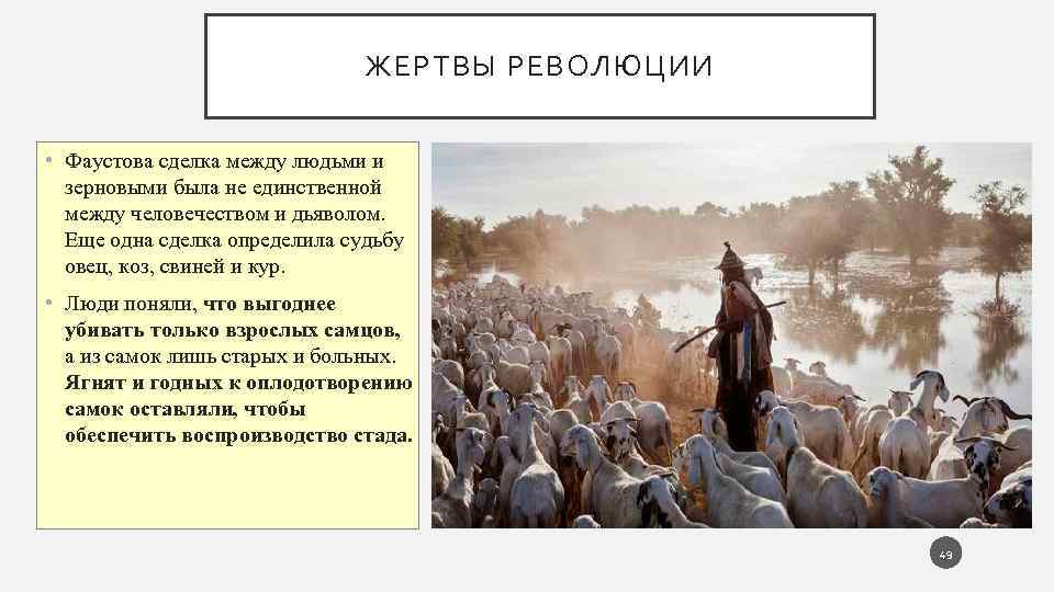 ЖЕРТВЫ РЕВОЛЮЦИИ • Фаустова сделка между людьми и зерновыми была не единственной между человечеством