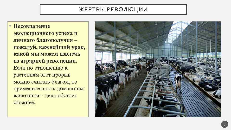 ЖЕРТВЫ РЕВОЛЮЦИИ • Несовпадение эволюционного успеха и личного благополучия – пожалуй, важнейший урок, какой