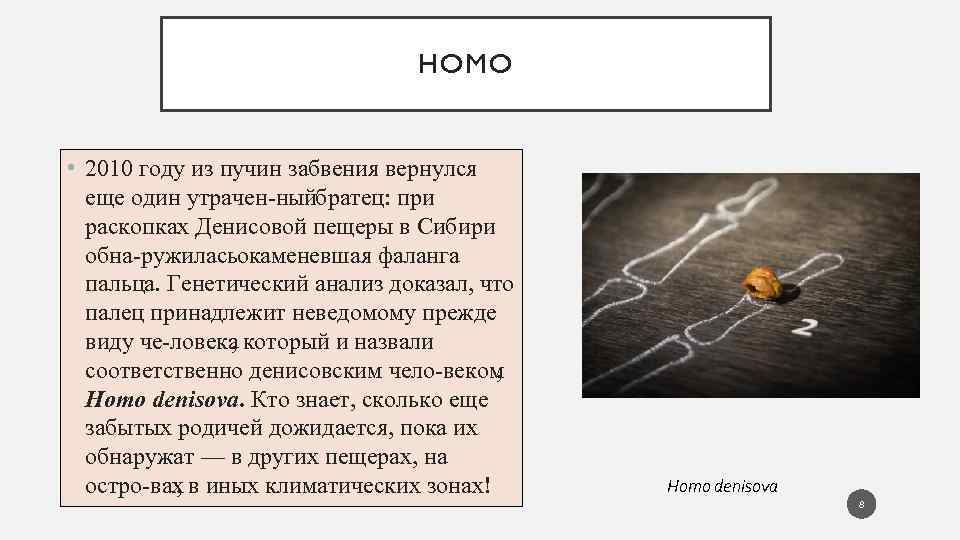 HOMO • 2010 году из пучин забвения вернулся еще один утрачен ный ратец: при