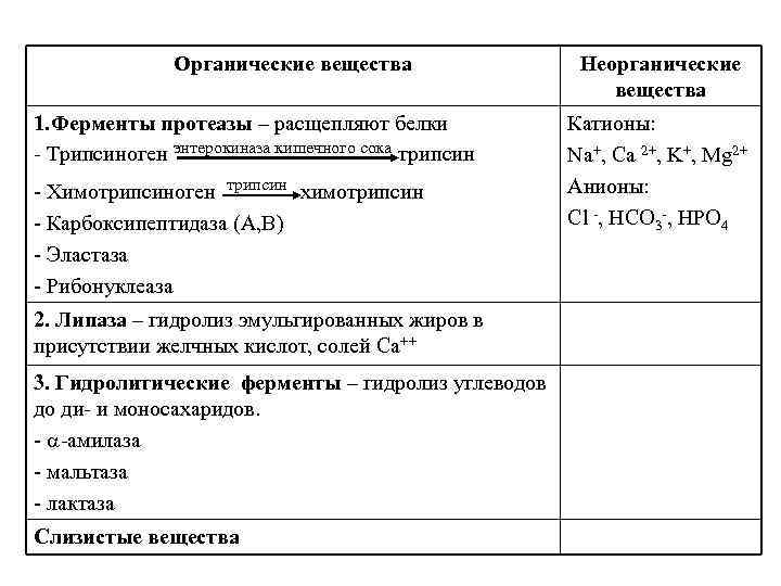 Органические вещества 1. Ферменты протеазы – расщепляют белки - Трипсиноген энтерокиназа кишечного сока трипсин