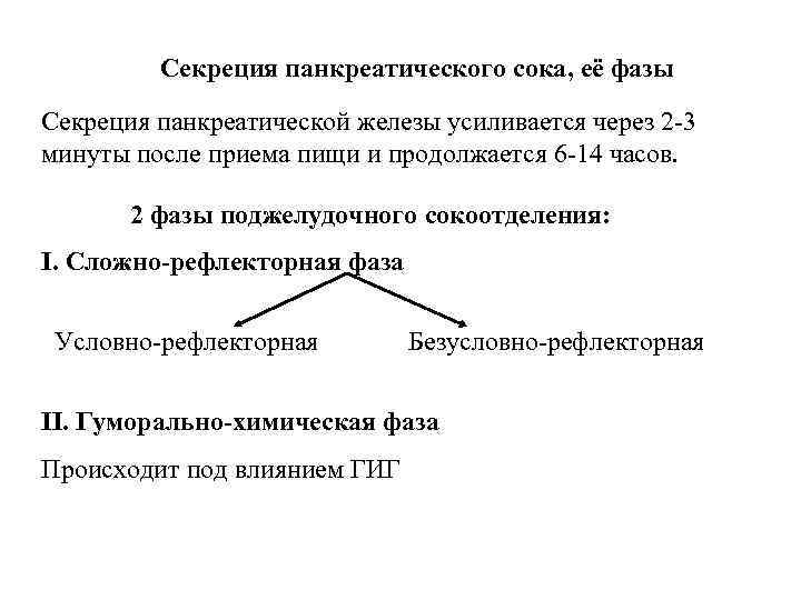Секреция панкреатического сока, её фазы Секреция панкреатической железы усиливается через 2 -3 минуты после