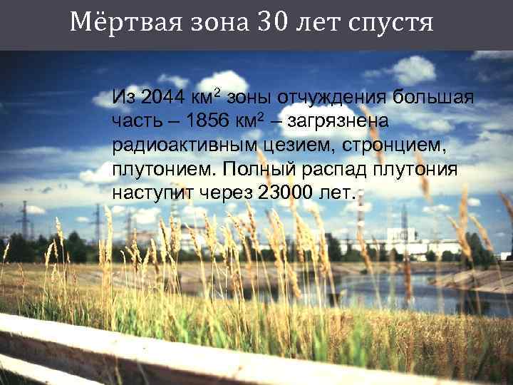 Мёртвая зона 30 лет спустя Из 2044 км 2 зоны отчуждения большая часть –