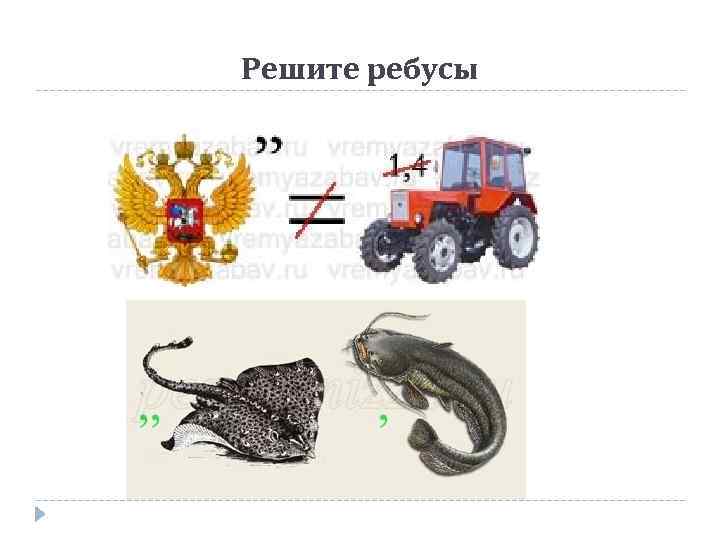 Решите ребусы 