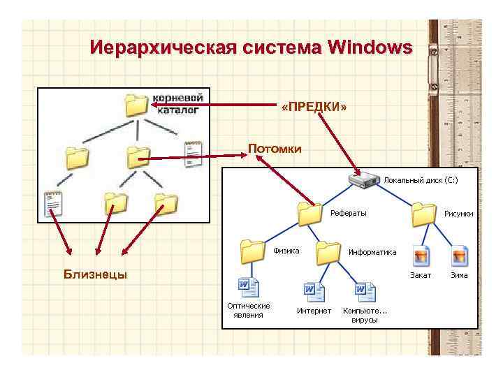 Иерархическая система Windows «ПРЕДКИ» Потомки Близнецы 
