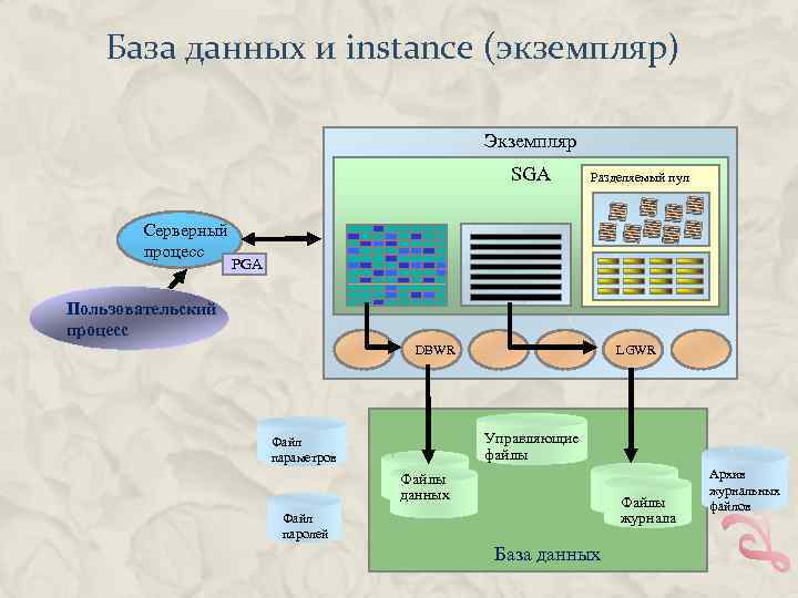 База данных и instance (экземпляр) Экземпляр SGA Серверный процесс Разделяемый пул PGA Пользовательский процесс