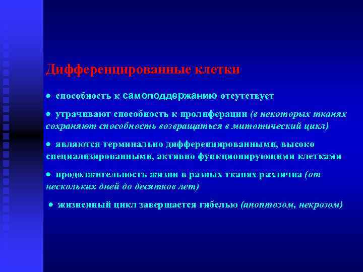 Дифференцированные клетки · способность к самоподдержанию отсутствует · утрачивают способность к пролиферации (в некоторых