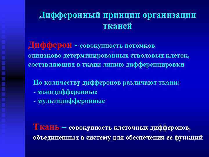 Организация тканей. Принципы организации тканей. Клеточно дифферонный принцип организации тканей. Дифферонного принципа организации;. Клеточно-дифферонный принцип организации.