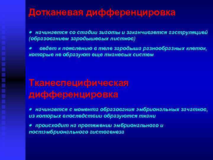 Дотканевая дифференцировка · начинается со стадии зиготы и заканчивается гаструляцией (образованием зародышевых листков) ·