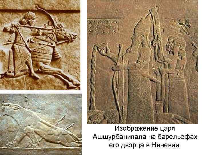 Изображение царя Ашшурбанипала на барельефах его дворца в Ниневии. 