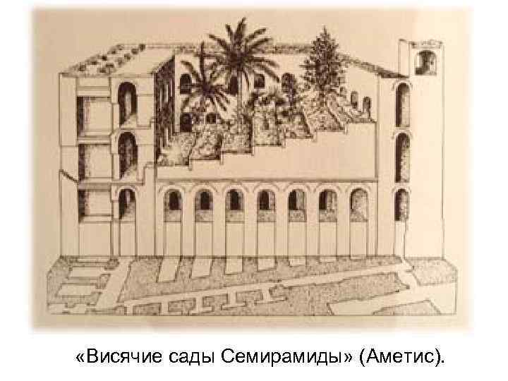  «Висячие сады Семирамиды» (Аметис). 