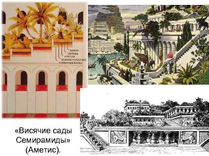  «Висячие сады Семирамиды» (Аметис). 