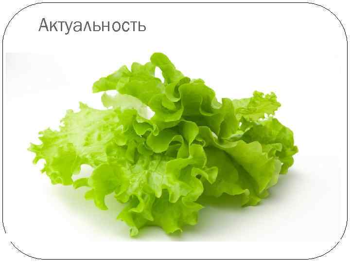 Актуальность Здесь крутая картинка салата 