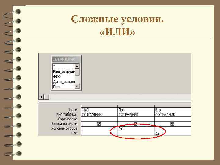 Сложные условия. «ИЛИ» 