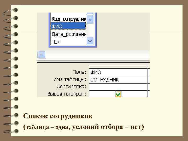 Список сотрудников (таблица – одна, условий отбора – нет) 