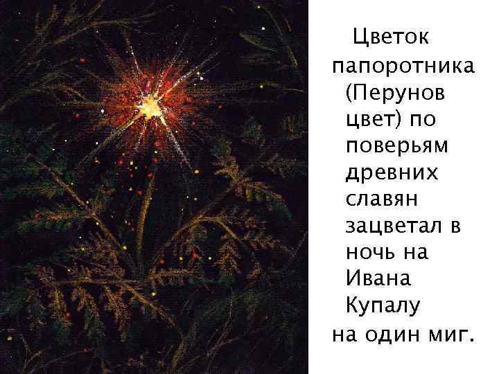 Цветок папоротника (Перунов цвет) по поверьям древних славян зацветал в ночь на Ивана Купалу