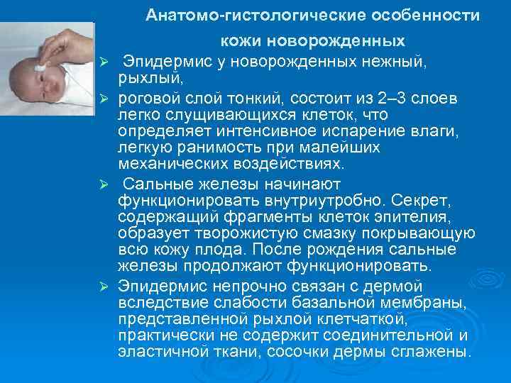 Анатомо-гистологические особенности Ø Ø кожи новорожденных Эпидермис у новорожденных нежный, рыхлый, роговой слой тонкий,