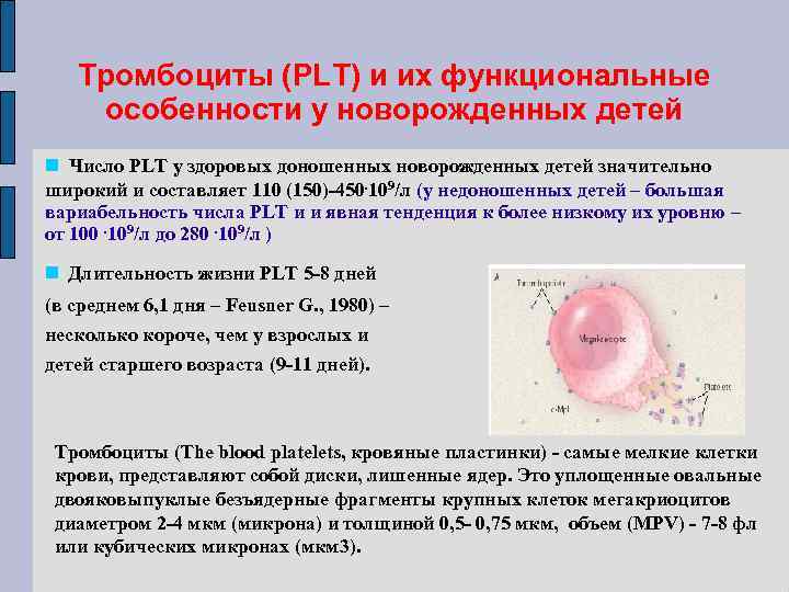 Тромбоциты (PLT) и их функциональные особенности у новорожденных детей Число PLT у здоровых доношенных