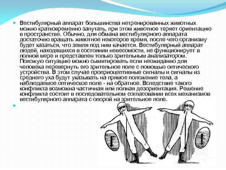 Нарушение вестибулярного аппарата лечение у взрослого. Вестибулярный аппарат в невесомости. Движение для вестибулярного аппарата. Повреждённый вестибулярный аппарат. Вестибулярный это кратко.