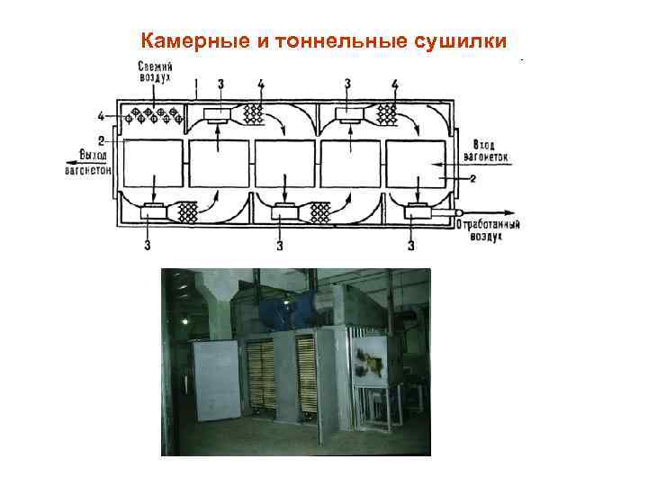 Камерные и тоннельные сушилки 