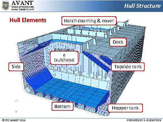 AVANT Hull Structure TRAINING CENTER OF SEAFARERS www. tsavant. com Hull Elements Hatch coaming