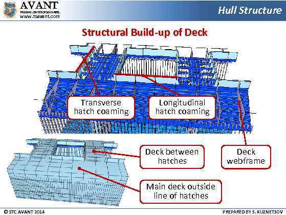 AVANT Hull Structure TRAINING CENTER OF SEAFARERS www. tsavant. com Structural Build-up of Deck