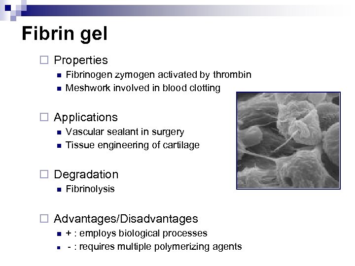 Fibrin gel ¨ Properties n n Fibrinogen zymogen activated by thrombin Meshwork involved in