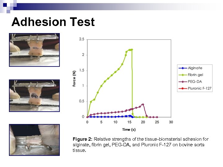 Adhesion Test Figure 2: Relative strengths of the tissue-biomaterial adhesion for alginate, fibrin gel,