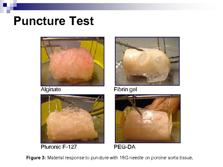 Puncture Test Alginate Fibrin gel Pluronic F-127 PEG-DA Figure 3: Material response to puncture