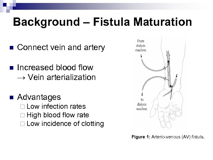 Background – Fistula Maturation n Connect vein and artery n Increased blood flow →