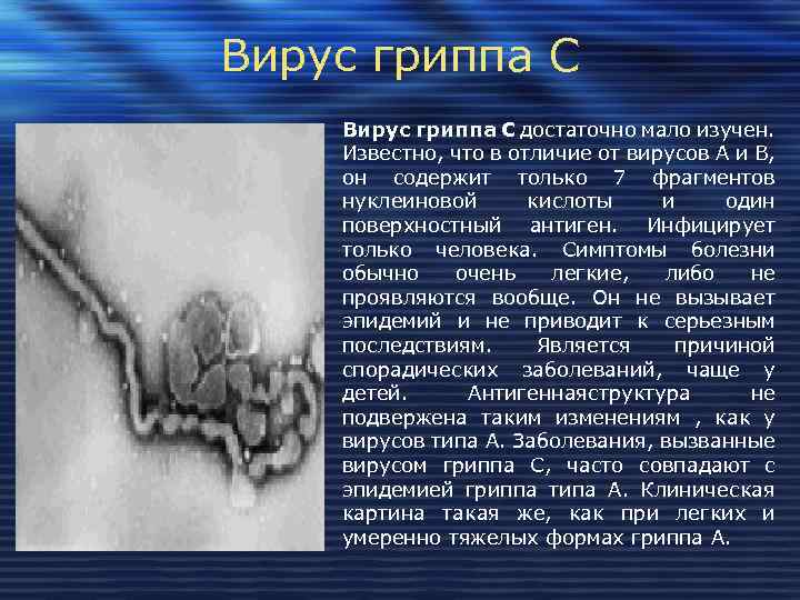 Вирус гриппа С достаточно мало изучен. Известно, что в отличие от вирусов А и