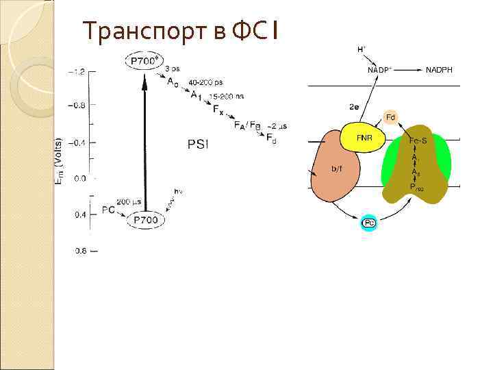 Транспорт в ФС 1 