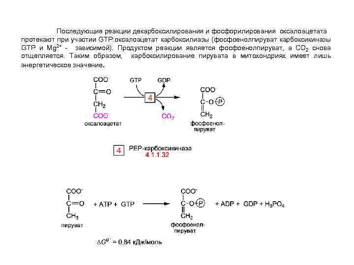 Последующие реакции декарбоксилирования и фосфорилирования оксалоацетата протекают при участии GTP: оксалоацетат карбоксилиазы (фосфоенолпируват карбоксикиназы